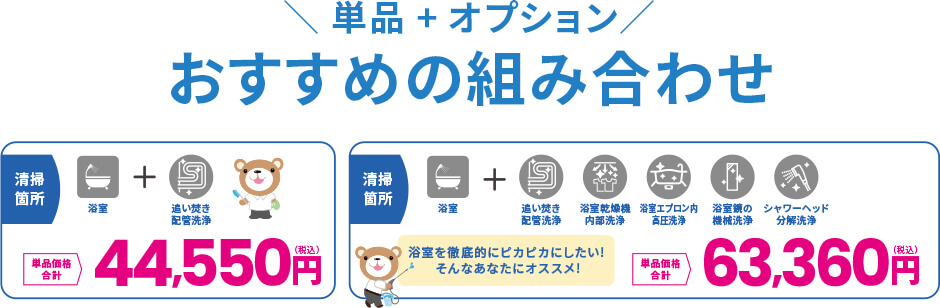 単品+オプションオススメの組み合わせ