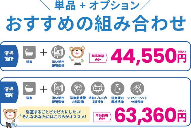 単品+オプションオススメの組み合わせ