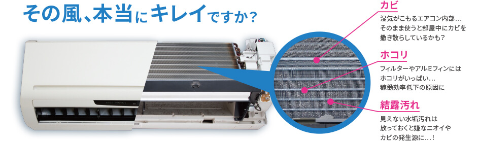 その風、本当にキレイですか?