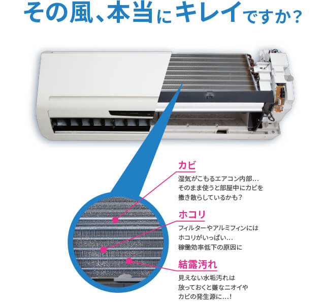 その風、本当にキレイですか?