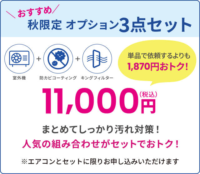 秋限定オプション3点セット